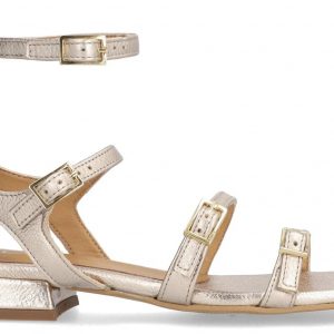 ALPE WOMAN 5143 41-GALAXY 43-PLATINO