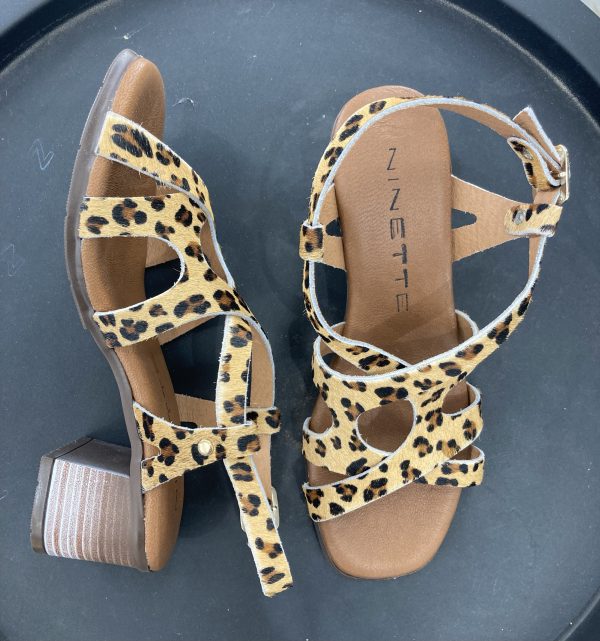 NINETTE R-116525 (PLANTA CUERO) LEOPARDO BEIG NOE MARRON DEGRADADO