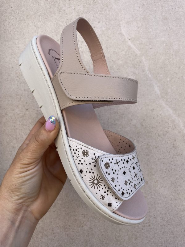 PUCHE 7124 NAPA ARCE-LLANE P.ARINA