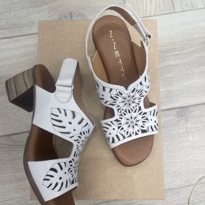 NINETTE T-111879 TEQUILA HIELO TAZA NICOTINA TAMPO