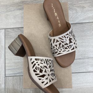 NINETTE T-111877 TEQUILA TAUPE TAZA NICOTINA TAMPO
