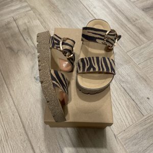 37-ZEBRA- MONTADO- ARENA