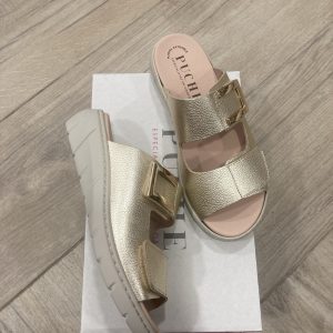PUCHE 7452 DOLARINO CHAMPAN
